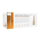 セラミドセルリペアアンプル3ml10本 :個人輸入代行Yokohama Media