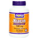 Niacin Tr 250 Tabs 500 mg:個人輸入代行Yokohama Media