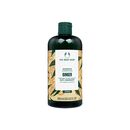 (TheBodyShop)ジンジャーアンチダンドラフシャンプー400ml  1本:個人輸入代行Yokohama Media