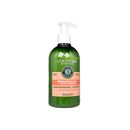 (Loccitane)インテンシブリペアコンディショナー500ml[ヤマト便] 1本:個人輸入代行Yokohama Media