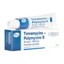 テラマイシン+ポリミキシンB[30mg+10000IU/g]軟膏15g 1本:個人輸入代行Yokohama Media