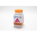 グリフルビンGrifulvin 500mg100錠入り 1本:個人輸入代行Yokohama Media