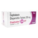 Cephalexin250mg200錠:個人輸入代行Yokohama Media