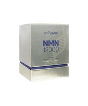 NMN12000_60錠(SpringLeaf):個人輸入代行Yokohama Media