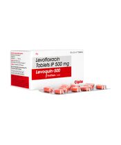 レボクイン500mg100錠 1箱:個人輸入代行Yokohama Media