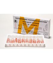 TESTOSTERONE PROPIONATE INJECTION 1ml10アンプル入り:個人輸入代行Yokohama Media