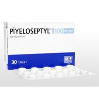 ニトロフラントイン100mg30錠:個人輸入代行Yokohama Media