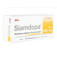 サイアムドパ250mg100錠 1箱:個人輸入代行Yokohama Media