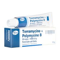 テラマイシン+ポリミキシンB[30mg+10000IU/g]軟膏15g 1本:個人輸入代行Yokohama Media