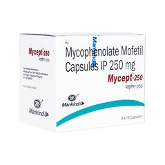 マイセプト250mg60錠 1箱:個人輸入代行Yokohama Media