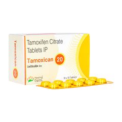 タモキシカン20mg100錠 1箱:個人輸入代行Yokohama Media