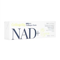 (TSJBio)コラジェリーNAD+コラーゲンマスク(ビーガン)60ml 1箱:個人輸入代行Yokohama Media