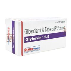 グリベンクラミド2.5mg100錠 :個人輸入代行Yokohama Media