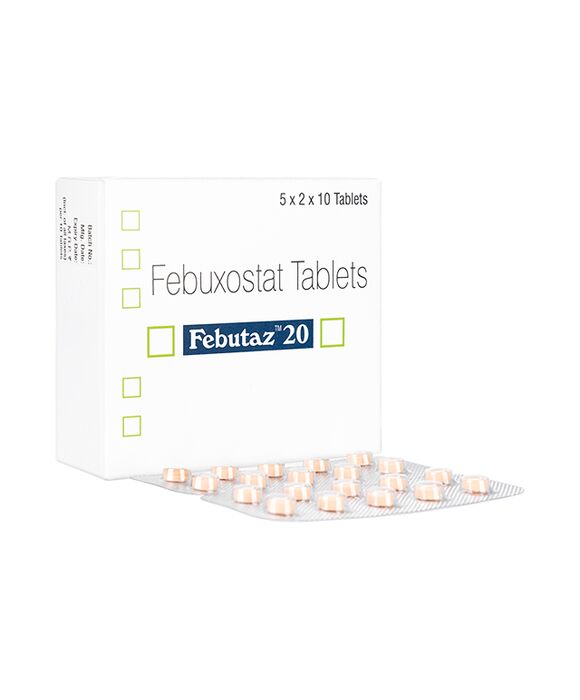 フェブタズ20mg100錠 1箱:個人輸入代行Yokohama Media
