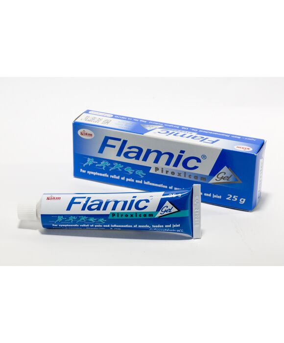フラミック・ジェル FLAMIC 25g (Piroxicam Gel):個人輸入代行Yokohama Media