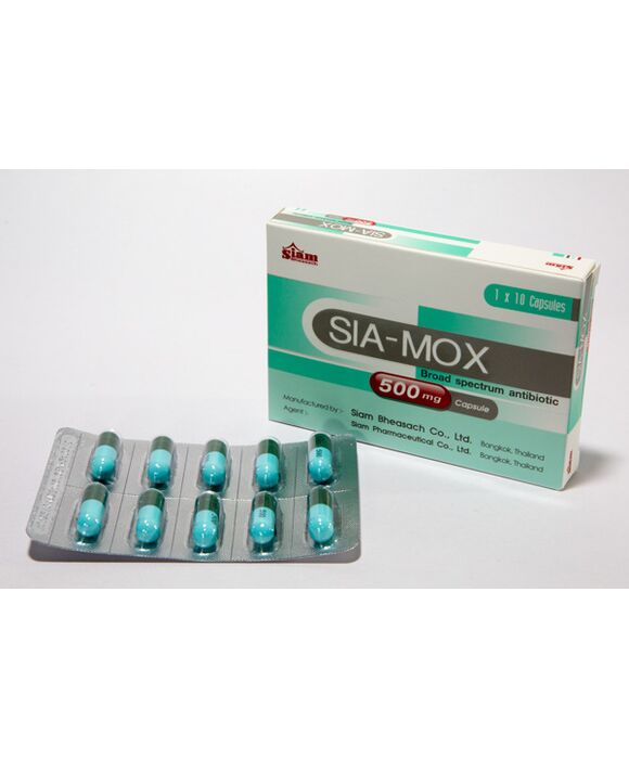 サイアモックスSIA-MOX500mg10錠×:個人輸入代行Yokohama Media