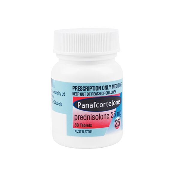 パナフコルテロン25mg30錠([R3]プレドニゾロン25mg30錠)