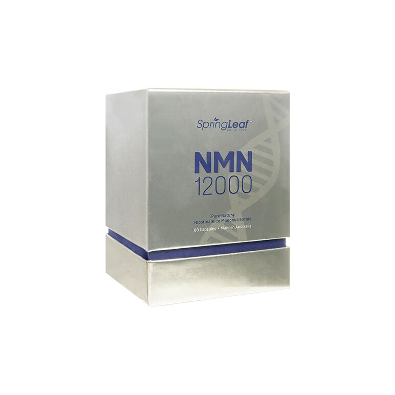 NMN12000_60錠(SpringLeaf):個人輸入代行Yokohama Media