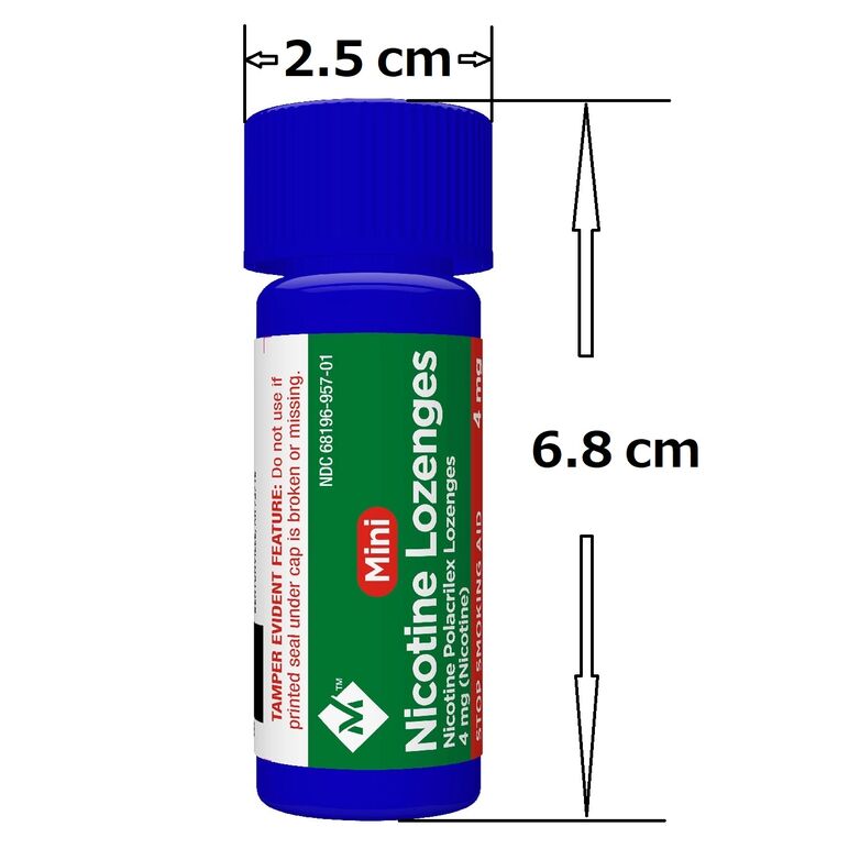 ミニ ニコチンローゼンジ 4mg ミント味:個人輸入代行Yokohama Media