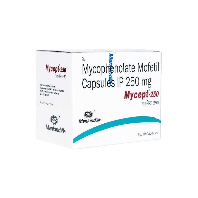 マイセプト250mg60錠 1箱:個人輸入代行Yokohama Media