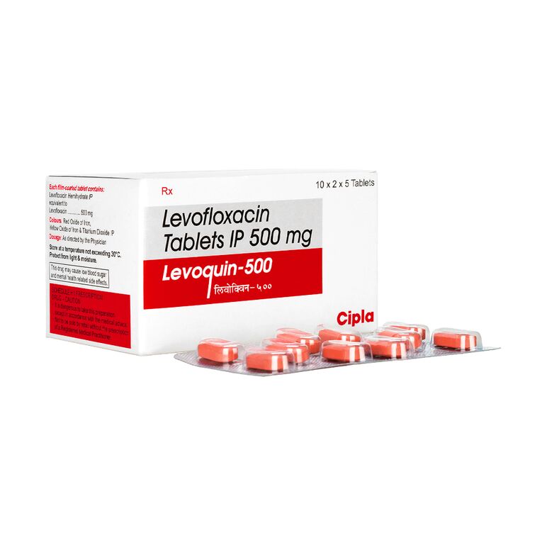 レボクイン500mg100錠 1箱:個人輸入代行Yokohama Media