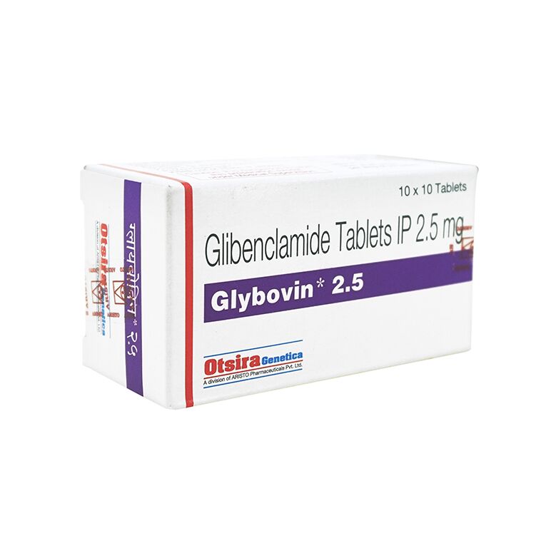 グリベンクラミド2.5mg100錠 :個人輸入代行Yokohama Media