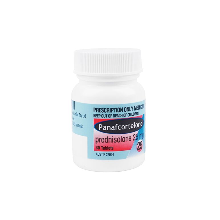 パナフコルテロン25mg30錠([R3]プレドニゾロン25mg30錠):個人輸入代行Yokohama Media