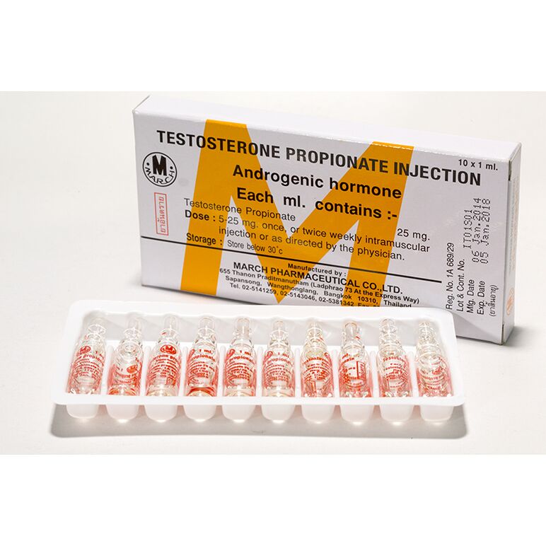 TESTOSTERONE PROPIONATE INJECTION 1ml10アンプル入り:個人輸入代行Yokohama Media